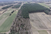 Działki leśne w Chobaninie